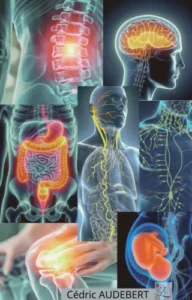 Pour représenter visuellement la méthode Poyet et ses bienfaits, une image idéale pourrait être : Une silhouette humaine stylisée, vue de profil ou de face, avec différentes zones du corps mises en évidence par des touches de couleur douce ou des halos lumineux. Ces zones correspondraient aux principaux points traités par la méthode : La colonne vertébrale (pour les douleurs de dos) La tête (pour les migraines et céphalées) Les articulations (pour l'arthrose) La zone abdominale (pour les troubles digestifs et viscéraux) Le système nerveux représenté par de fines lignes parcourant le corps Une femme enceinte en miniature dans un coin de l'image Autour de la silhouette, on pourrait voir des mains effectuant un geste doux, symbolisant l'approche thérapeutique non invasive. L'ensemble serait dans des tons apaisants (bleus doux, verts pastel) pour évoquer le soulagement et la détente. Un fond légèrement flou avec des formes ondulantes pourrait suggérer la fluidité et l'harmonie retrouvée dans le corps. Cette image combinerait ainsi les aspects anatomiques et les bienfaits thérapeutiques de la méthode Poyet, tout en transmettant une impression de douceur et d'efficacité globale sur le corps